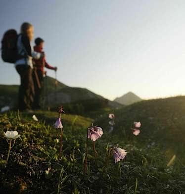 Wanderer in den Tannheimer Bergen in Tirol