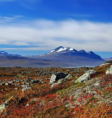 Wanderer im Stora Sjöfallets Nationalpark in Schweden