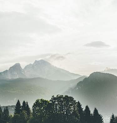 Die Familie Watzmann liegt im Nebel.