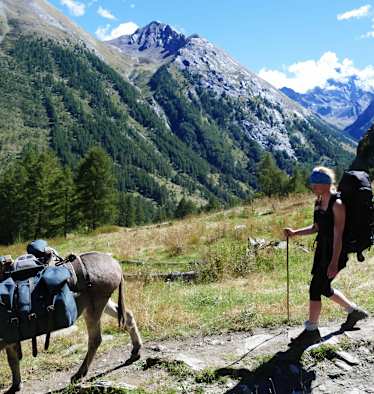 Esel-Trekking Provence