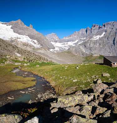 Schmadrihütte mit Tschingelfirn