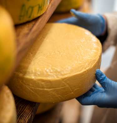 Beliebte Delikatesse: Alpkäse