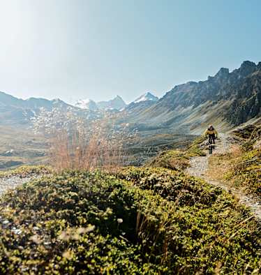 Mountainbiken Singletrail Schweiz