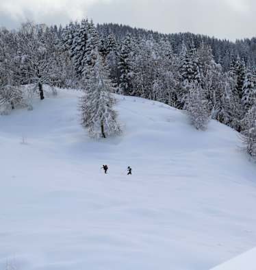 Winterwandern in Kärnten: Zur Kohlröslhütte am Weissensee