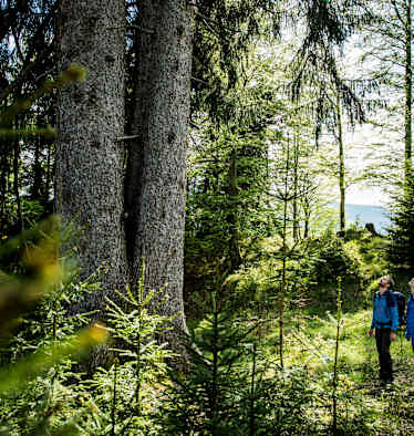 Zwei Wanderer genießen die Natur.