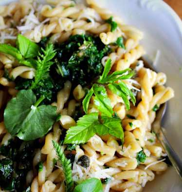 Selbstgemacht: Wildkräuter-Pesto