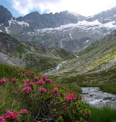 Ruhegebiet Hochgebirgs-Naturpark Zillertaler Alpen