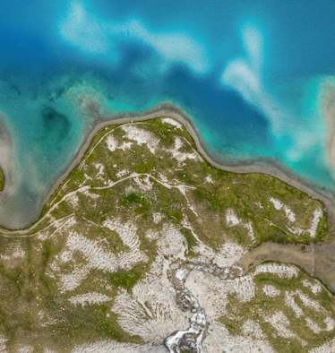 Wo Bergwasser und alpine Moore aufeinandertreffen.