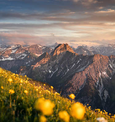 sommer in oberstdorf, berggipfel, blumenmeer