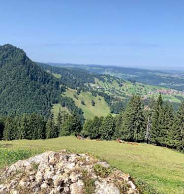 Blick auf Steibis vom Prodel