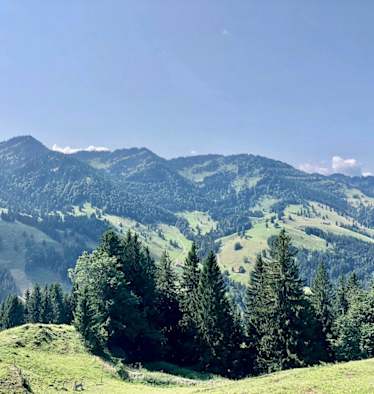 Blick auf die Nagelfluhkette vom Prodel