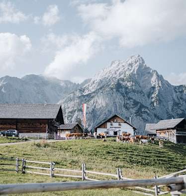 Walderalm