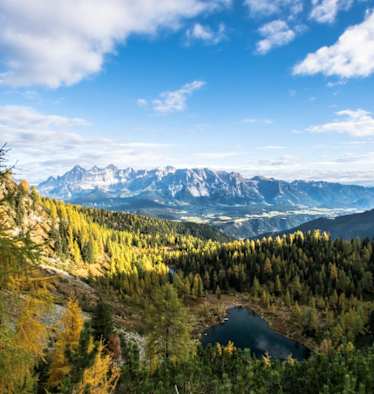 Blick vom Weg Nr. 66 auf den Untersee