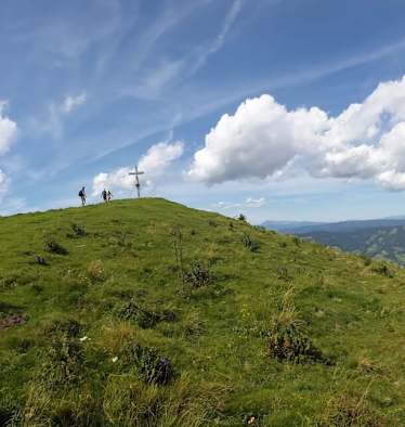 Plankogel auf der Sommeralm