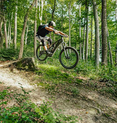 Der Elsbeere-Trail: kurz, idyllisch, verspielt