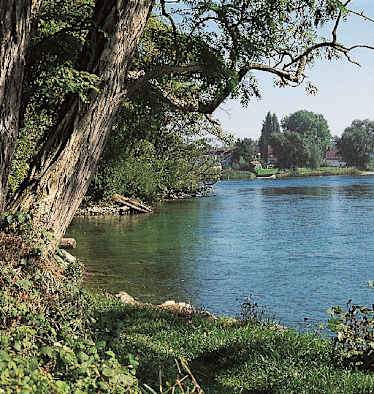 Bei Steigen verlässt der Hochrhein den Bodensee