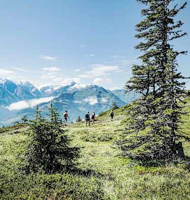 Am „Pinzgauer Spaziergang“ mit herrlicher Aussicht in den Nationalpark Hohe Tauern