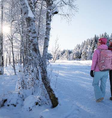 Winterwandern in der Region Seefeld