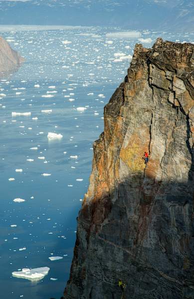 The Adventures of the Dodo