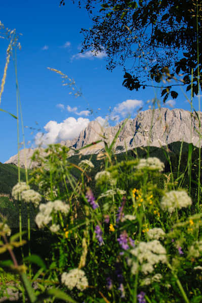 Bergsteigerdorf Zell/Sele