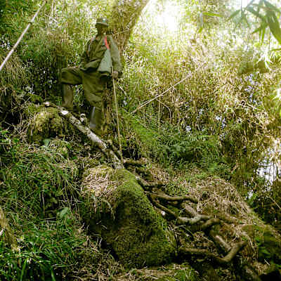 Virungas Berggorillas Reise