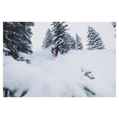 Im Wald von Kitzbühel konnte einer unserer User vor einigen Tagen wundervollen Pulverschnee vorfinden