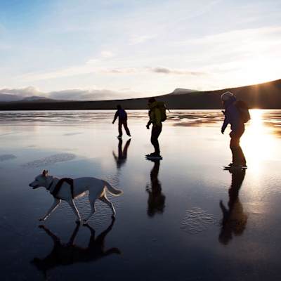 Drei Eisläufer und ein Hund auf einem zugefrorenen See bei tiefstehender Sonne auf dem Lake Ånnsjön in Åre