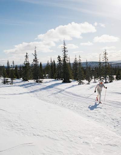 Lappland - Klassisches Langlaufen in Pallas , Oona Kuru