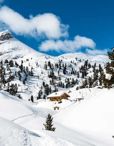 Rossalm in Südtirol