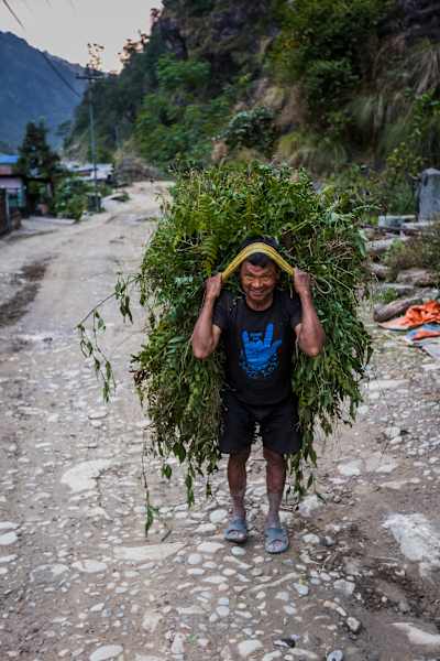Manaslu Circuit Trek in Nepal