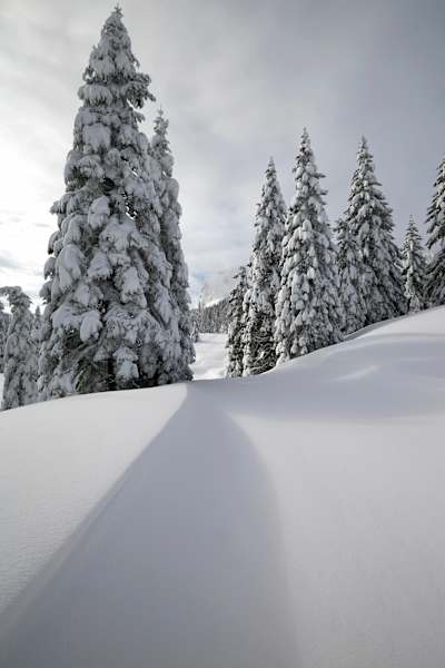 Starke Schneefälle vom Westen bis in den Osten Österreichs haben ein unvergleichbare Winterlandschaft erschaffen