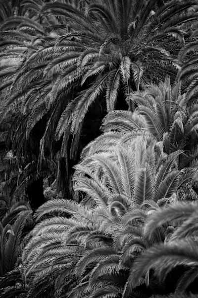 Carolin Unrath Photo-Rookie