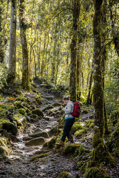 Reise Cost Rica Wandern Cerro Chirripó
