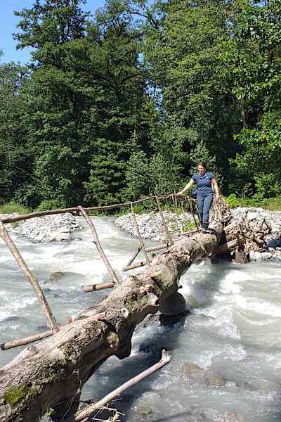 Baumstamm über einen Fluss gelegt im Kaukasus