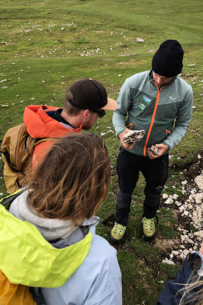 Fossile am Dobratsch