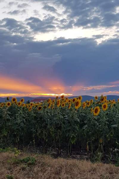 Burgenland Extrem Sommer 2021