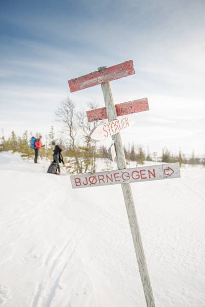 Skitouren Skandinavien