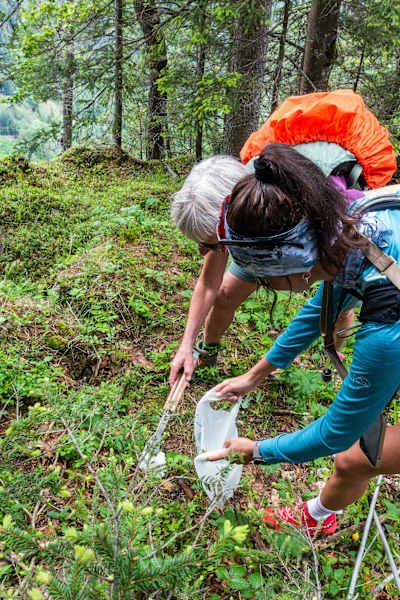 Wanderer beim Müllsammeln in den Bergen