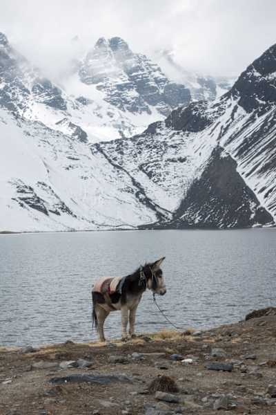 Basislager Condoriri