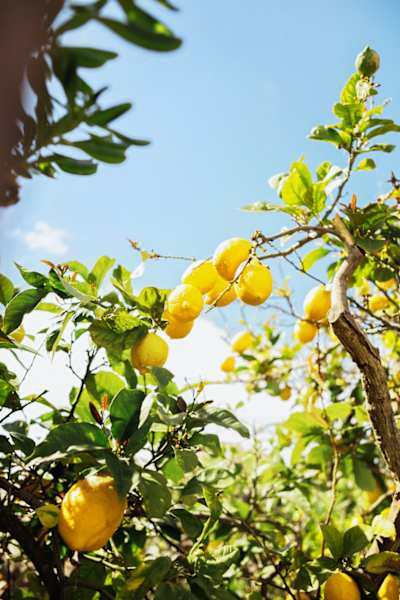 Wandern auf den Äolischen Inseln