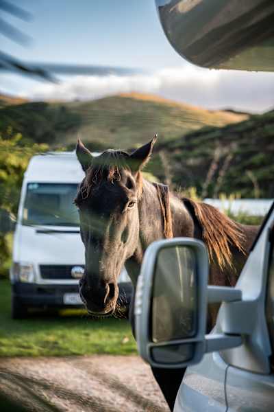 Familienurlaub Neuseeland