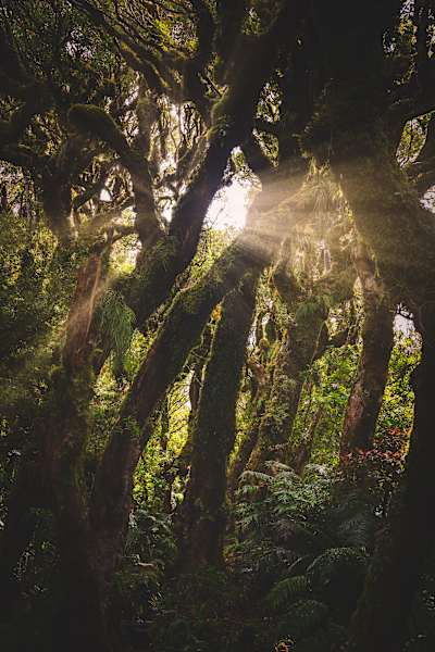 Familienurlaub Neuseeland