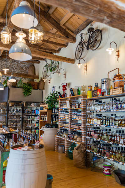 Roadsurfer Camper Trip Kroatien Istrien