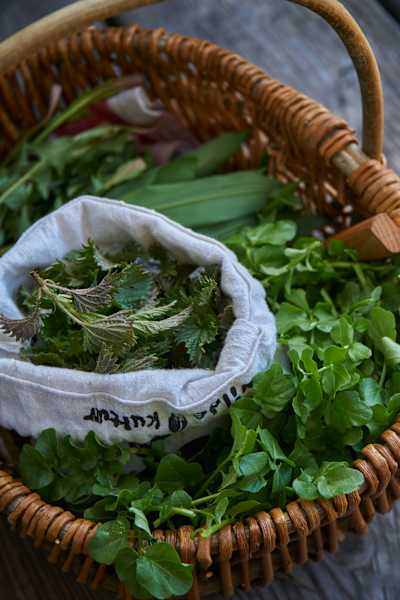 Korb voll mit Wildkräuter