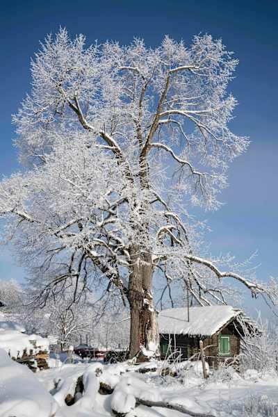 Mit Schneeschuhen durchs Ammergebirge