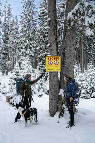 Mit Schneeschuhen durchs Ammergebirge