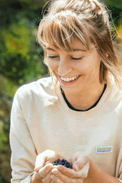 Heidelbeeren findet man reichlich entlang der Wege im Bouldergebiet