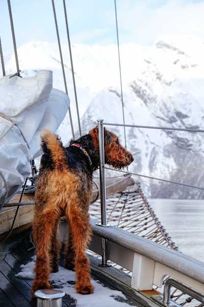 Ski Sail Norwegen Skitouren Bergwelten Schöpf