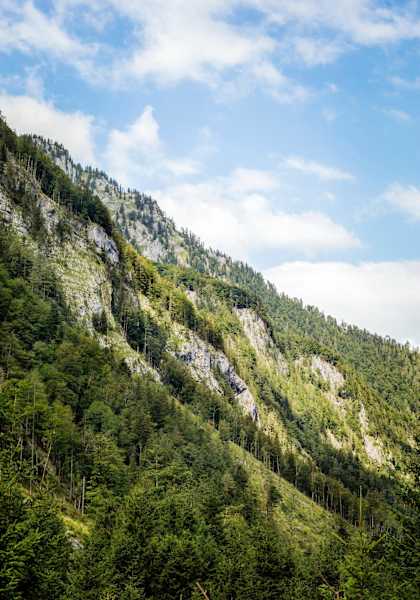 Saftige Wälder und Felsen am Maiszinken