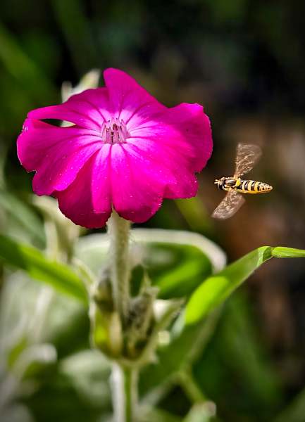 vivo x200 Pro, Bergwelten, Belichtung, Blende